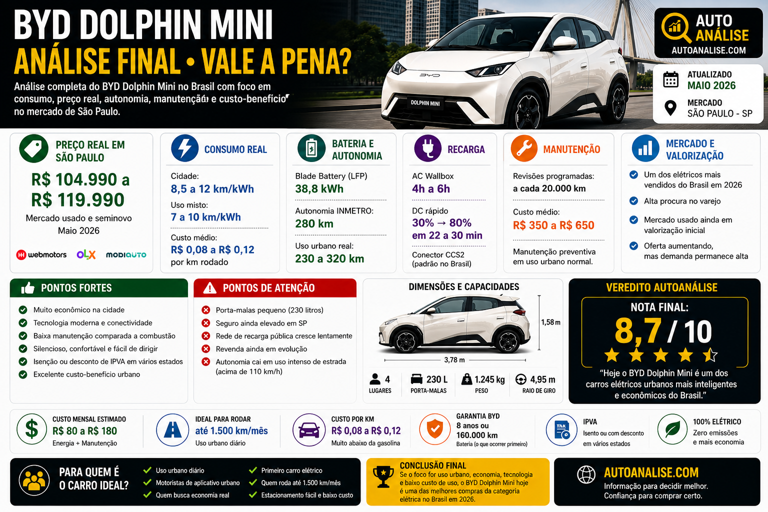 BYD Dolphin Mini usado no Brasil análise final preço mercado consumo bateria manutenção AutoAnalise Maio 2026