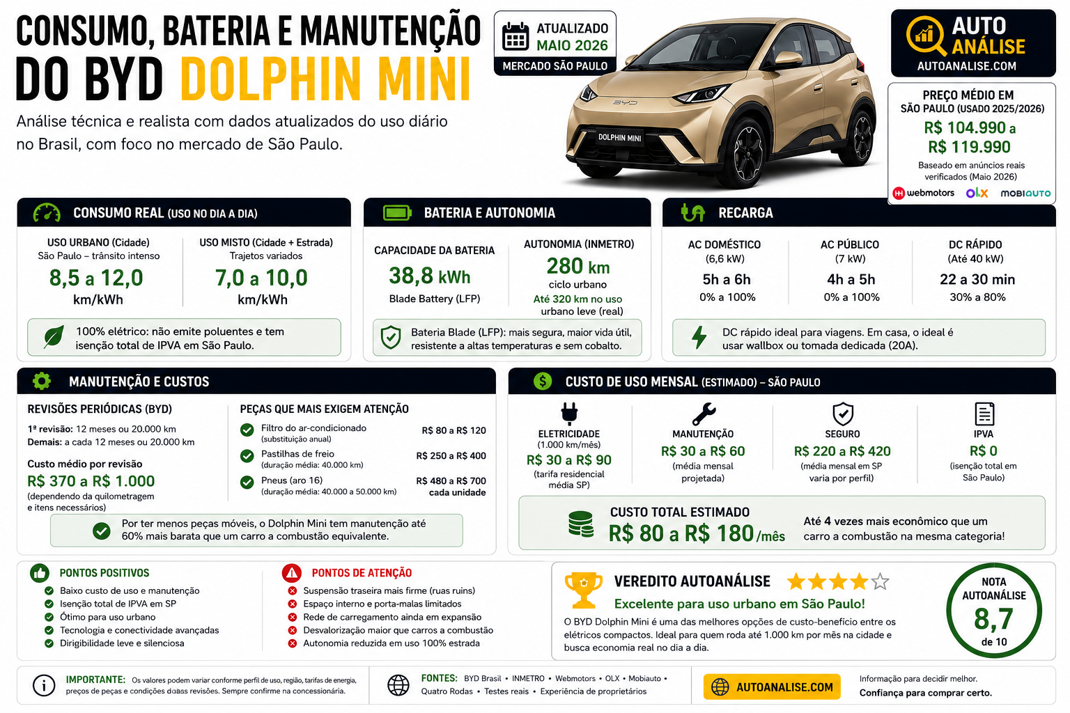 Consumo bateria manutenção BYD Dolphin Mini usado Brasil São Paulo Maio 2026
